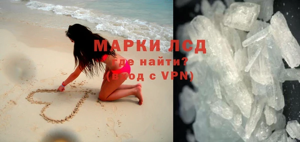 стафф Аркадак
