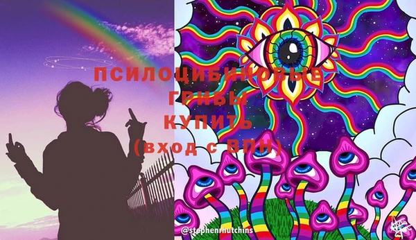 стафф Аркадак